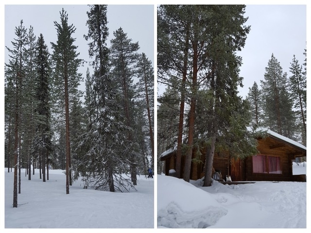Un cuento de invierno: 10 días en Helsinki, Tallín y Laponia, marzo 2017 - Blogs de Finlandia - Levi, paisajes para una postal (27)