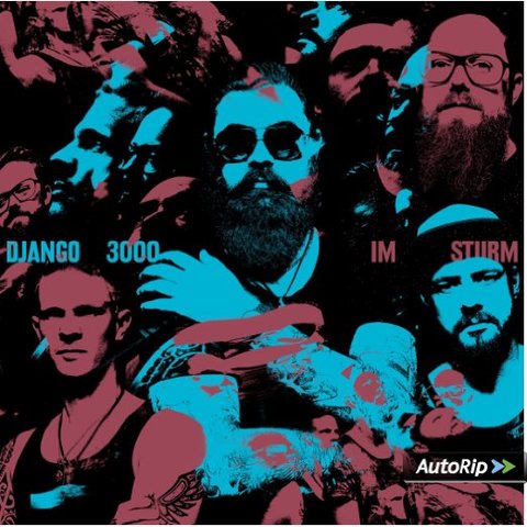 Django 3000 - Im Sturm (2017) 320 KBPS