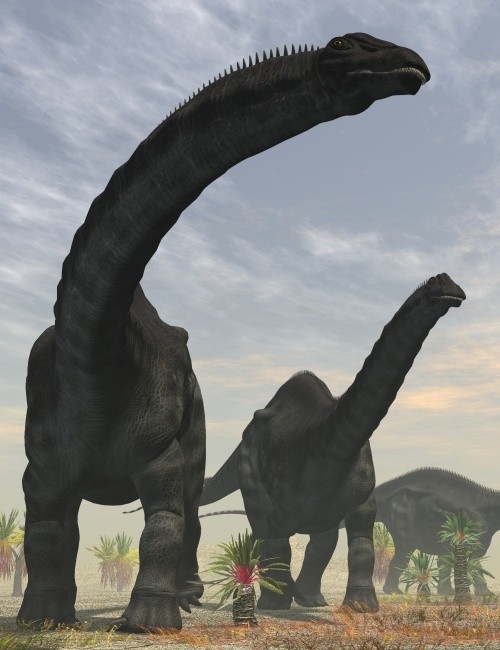 Brachiosaurus DR