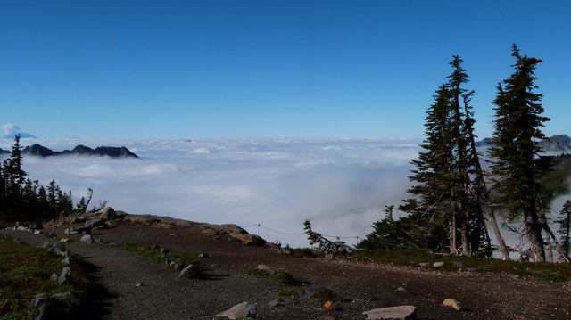 Día 22: Mount Rainier NP - Las maravillas del Noroeste de los Estados Unidos (8)