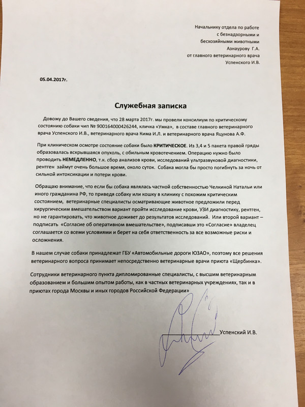 Служебная записка о поломке инструмента образец